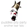 Another Tear Falls - Single album lyrics, reviews, download