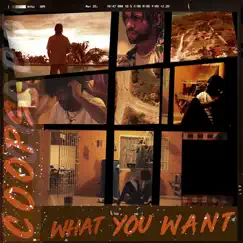 What You Want - Single by Coops album reviews, ratings, credits