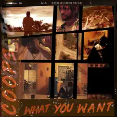 What You Want Song Lyrics