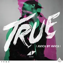 Wake Me Up (Avicii By Avicii) Song Lyrics