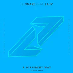 A Different Way (feat. Lauv) [DEVAULT Remix] Song Lyrics