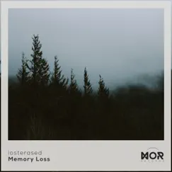 Memory Loss Song Lyrics