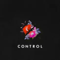 Control - Single by Michael Mason album reviews, ratings, credits