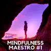 Mindfulness Maestro #1 - Top Meditation Music for Spa, Massage and Relaxation album lyrics, reviews, download