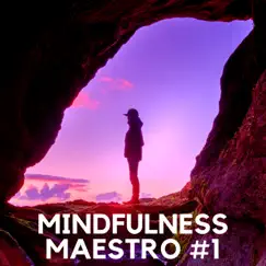 Mindfulness Maestro #1 - Top Meditation Music for Spa, Massage and Relaxation by Metropolitan Cosmo & Mindfulness Music album reviews, ratings, credits