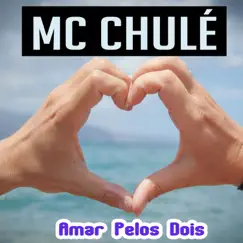 Amar Pelos Dois - Single by MC Chulé album reviews, ratings, credits
