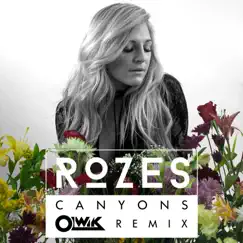 Canyons (OLWIK Remix) - Single by ROZES album reviews, ratings, credits