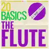 Flute Concerto No. 1 in G Major, K. 313: I. Allegro maestoso song lyrics