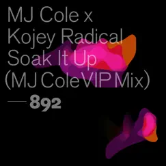 Soak It Up (MJ Cole VIP Mix) - Single by MJ Cole & Kojey Radical album reviews, ratings, credits
