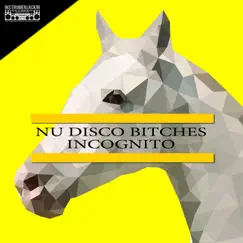 Incognito (DJ Tool Space Effects Mix) Song Lyrics