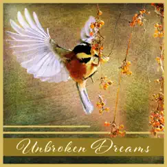 Unbroken Dreams: Calm Music, Evening Relaxation Songs, Constant Silence, Sleeping Flow, Guardians of Harmony, Echo of the Night by Deep Sleep Music Academy album reviews, ratings, credits