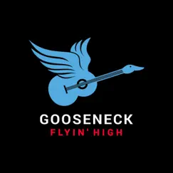 Flyin' High - EP by Gooseneck album reviews, ratings, credits