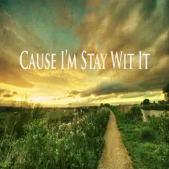 Cause I'm Stay Wit It Song Lyrics