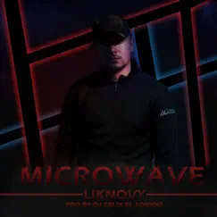 Microwave - Single by Liknovy album reviews, ratings, credits