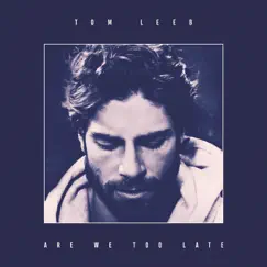 Are We Too Late - Single by Tom Leeb album reviews, ratings, credits