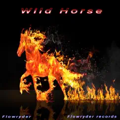 Wild Horse - Single by Flowryder album reviews, ratings, credits