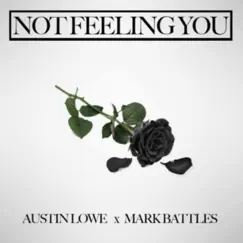 Not Feelin You (feat. Mark Battles) - EP by Austin Lowe album reviews, ratings, credits