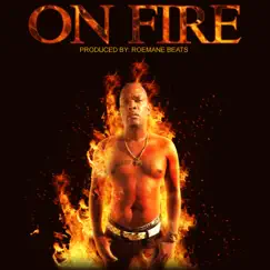 On Fire - Single by Reckless Rhymacide album reviews, ratings, credits