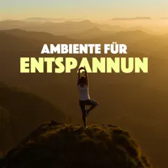 2018 Ambiente für Entspannun - Natur Tiefenentspannung by Moana Kea & Evan Tierisch album reviews, ratings, credits