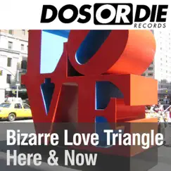Bizarre Love Triangle (Rocco & Bass-T Now or Never Remix Cut) Song Lyrics