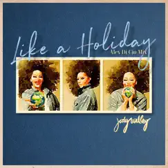 Like a Holiday (Alex Di Cio Remix) Song Lyrics