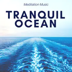 Tranquil Ocean: Meditation Music, Natural Sleep Aid, Nature Sounds, Soothing Waves, Mindfulness Exercises, Relaxation by Shades of Blue & Nature Sounds Relaxing album reviews, ratings, credits
