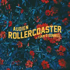 Rollercoaster (feat. Liam O'Donnell) Song Lyrics