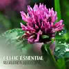 Celtic Essential Relaxation Collection: Soothing Meditation, Divine Relax, Blissful Rest, Goddes & Mystical album lyrics, reviews, download