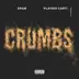Crumbs - Single album cover