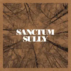 Sanctum Sully - EP by Sanctum Sully album reviews, ratings, credits