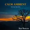 Calm Ambient Sounds album lyrics, reviews, download