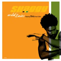 Wild 2nite - EP by Shaggy album reviews, ratings, credits