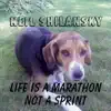 Life Is a Marathon Not a Sprint album lyrics, reviews, download