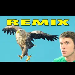 I'm a Bird Motha' f***** Remix - Single by Toby Turner & Tobuscus album reviews, ratings, credits