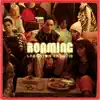 roaming - EP album lyrics, reviews, download