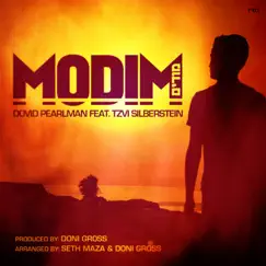 Modim (feat. Tzvi Silberstein) - Single by Dovid Pearlman album reviews, ratings, credits