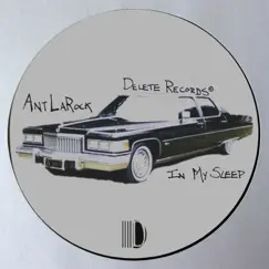 In My Sleep - Single by ANT LaROCK album reviews, ratings, credits