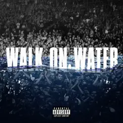 Walk On Water (feat. Beyoncé) Song Lyrics