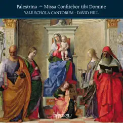 Palestrina: Missa Confitebor tibi Domine & Other Works by Yale Schola Cantorum, David Hill, Liuwe Tamminga & Bruce Dickey album reviews, ratings, credits