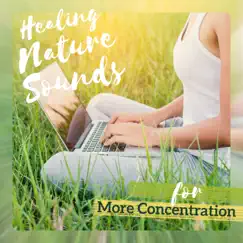 Soothing Sounds Song Lyrics