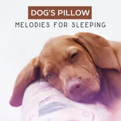 Dog's Pillow: Melodies for Sleeping - Soft Music & Nature Sounds, Animals Therapy, Gentle Lullabies for Your Pets, Peaceful & Calm by Pet Care Club album reviews, ratings, credits