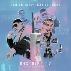 Restringida (feat. Rauw Alejandro) - Single by Carlitos Rossy album reviews, ratings, credits