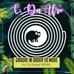 Groove in Order to Move (Dr Packer Remix) Song Lyrics