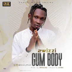 Gum Body - Single by 2wizzi album reviews, ratings, credits