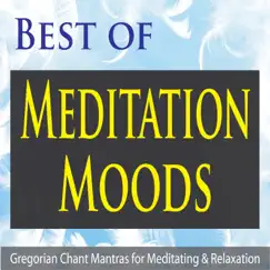 Best of Meditation Moods (Gregorian Chant Mantras for Meditating & Relaxation) by Pure Pianogonia album reviews, ratings, credits