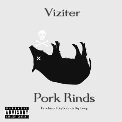 Pork Rinds - Single by Viziter album reviews, ratings, credits