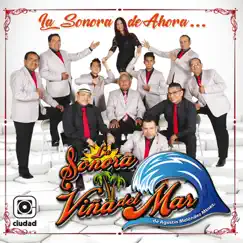 Clásicos de la Reyna Rumba: El Yerberito / Tu Voz Song Lyrics