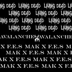 Avalanche (feat. M.A.K. & F.E.S.) Song Lyrics