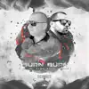 Burn Burn (Remixes) [feat. Mike Moonnight] - Single album lyrics, reviews, download