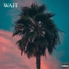 Wait Song Lyrics